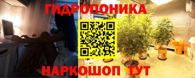 прущие крисы Дубна