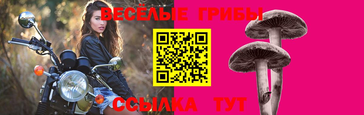 Галлюциногенные грибы Magic Shrooms Брянск